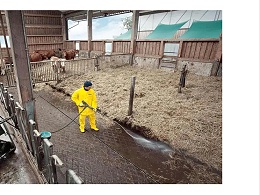 畜牧养殖场案例，猪舍清理高压清洗机